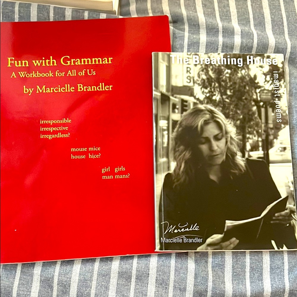 Fun with Grammar Workbook and The Breathing House Book Set
